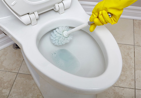 environmentally friendly toilet bowl cleaner