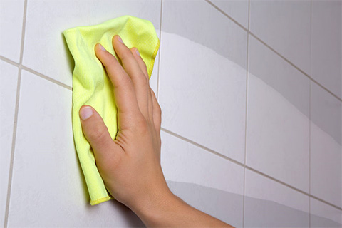 Tub Tile and Shower Cleaner